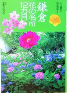 花紀行　鎌倉花の名所１２カ月／入江織美(編者),榊原透雄