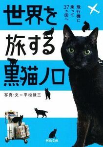 世界を旅する黒猫ノロ 飛行機に乗って３７カ国へ 河出文庫／平松謙三(著者)