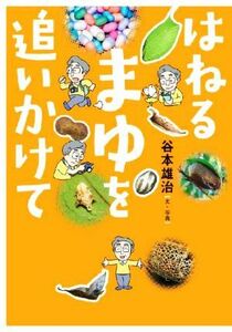 はねるまゆを追いかけて 文研ブックランド　ノンフィクション／谷本雄治(著者)