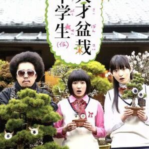 エビ中の天才盆栽中学生 Ｂｌｕ－ｒａｙ ＢＯＸ（Ｂｌｕ－ｒａｙ Ｄｉｓｃ）／私立恵比寿中学,松野莉奈,柏木ひなた,池田貴史,私立恵比寿の画像1