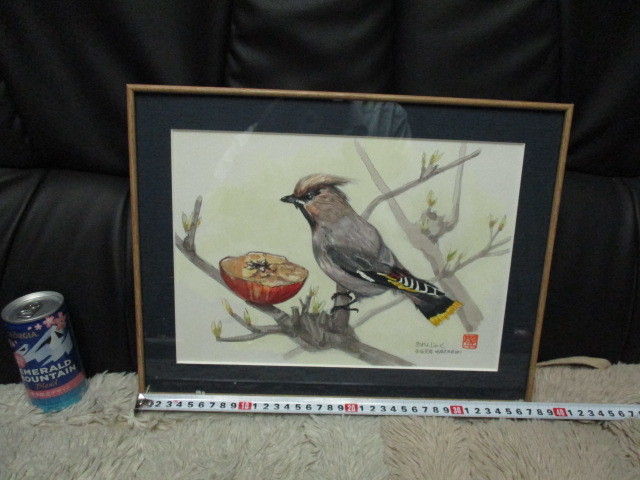 ★Pintura de acuarela★Pintura japonesa★Shohei★ Kiln Waxwing ★Pintura de pájaros★Sello firmado incluido★Enmarcado★Interior★1989★, cuadro, pintura japonesa, flores y pájaros, pájaros y bestias