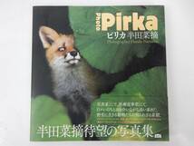 【中古品】『ピリカ Photo pirka』 半田菜摘 著 2021年 第3刷 中古品 JUNK 現状渡し 一切返品不可で！！_画像1