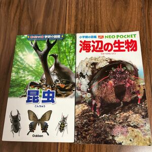 昆虫 (新ポケット版 学研の図鑑) 海辺の生物　小学館の図鑑