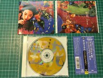 【CD-041】サンディ・ラム / ワイルドフラワー / CD / WMC5-495 / 帯付き / WEA_画像1