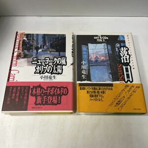 F22♪小川竜生 ニューヨークの嵐 カリブの太陽／落日 2冊セット 実業之日本社 1993・1994年 ハードボイルド小説★230704