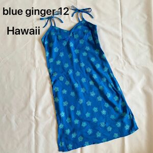 Hawaii blue ginger ブルージンジャー　ハワイ　オリジナルデザイン　レディース　ワンピース　ムームー　ドレス　S