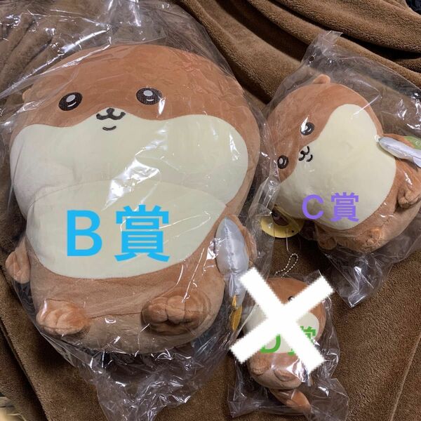 ナガノのカワウソ　B賞&C賞　2個セット　ぬいぐるみくじ　カワウソくじ