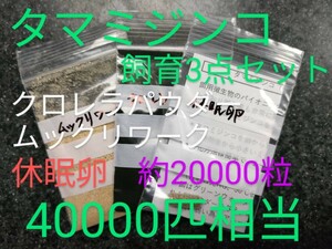 送金無料！タマミジンコ飼育3点セット　クロレラパウダー　ムックリワーク　乾燥卵　約40000匹相当付　取説付　めだか針子グッピー金魚　餌