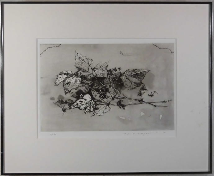 ヤフオク! -「中林忠良」(銅版画、エッチング) (版画)の落札相場・落札価格
