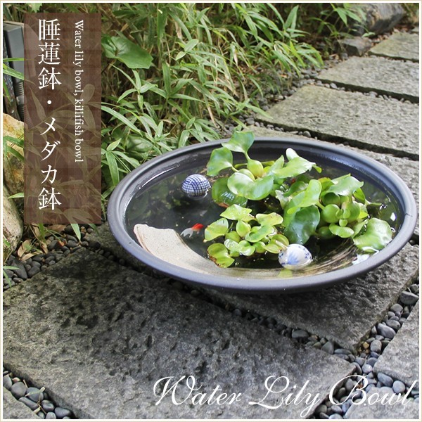 睡蓮鉢 メダカ鉢 金魚鉢 丸鉢 1個 水生植物 ビオトープ 約Φ68cm (約