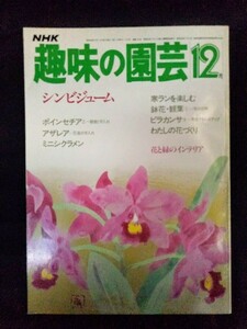 [04669]NHK趣味の園芸 昭和59年12月号 日本放送出版協会 テレビテキスト エッセイ 栽培 家庭菜園 庭木 花木 観葉植物 洋ラン ガーデニング