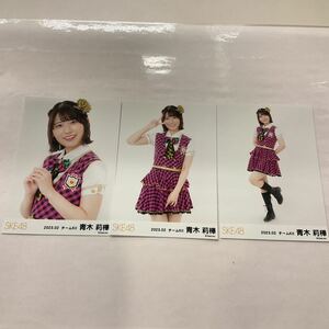 SKE48 青木莉樺 チームKⅡ 2023年 2月 月別 ランダム 生写真 コンプ SK152