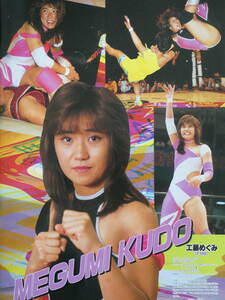 全日本女子プロレス1993年12月6日両国国技館大会パンフレット　工藤めぐみ、豊田真奈美、北斗晶、神取忍、ブル中野、井上貴子、みなみ鈴香