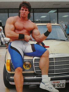  weekly gong 1987 year 7 month 17 day number Ultimate * Warrior. own car introduction, Hulk * Hogan, Terry *goti, Cart * person g, Ray Gin gbru