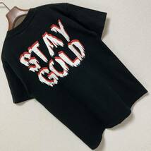 ハイスタンダード■I am From NAMBA STAY GOLD Tシャツ_画像2