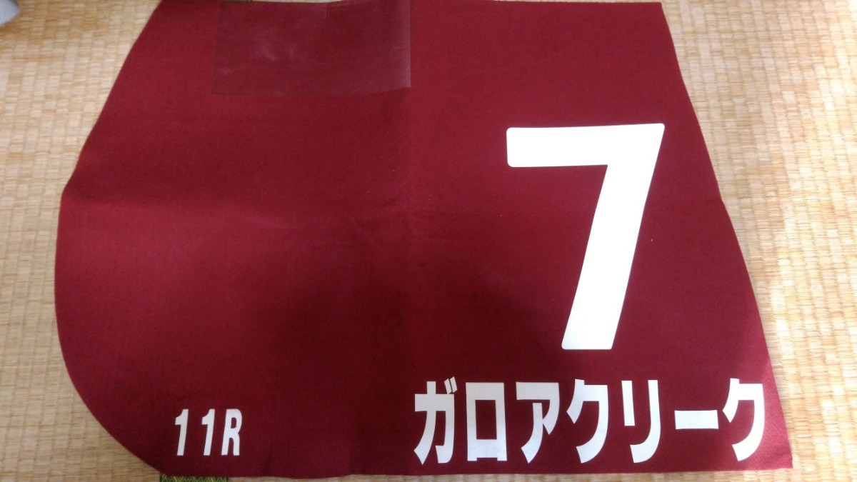 ホットセール 競馬 実使用レースゼッケン ムーンクエイク スポーツ