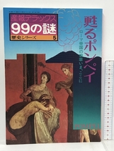 産報デラックス 99の謎 甦るポンペイ ローマ帝国の栄華いま、ここに 歴史シリーズ5 サンポウジャーナル_画像1