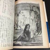 23-7-30『 別冊　いんなあとりっぷ　完全復刻版　怪奇・幻想小説の世界』江戸川乱歩　横溝正史　小栗虫太郎ほか_画像5