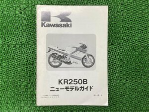 KR250B サービスマニュアル 補足版 カワサキ 正規 中古 バイク 整備書 KR250-B1配線図有り ニューモデルガイド 車検 整備情報