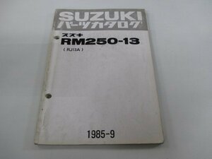 RM250 パーツリスト スズキ 正規 中古 バイク 整備書 RM250-13 RJ13A RJ13A-100027～ ad 車検 パーツカタログ 整備書