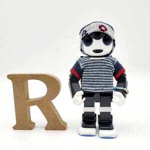 ロボホン RoBoHoN　ロボホンの服ハンドメイド　ボーダーTシャツキャップセット