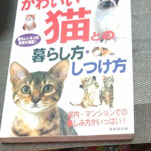 かわいい猫の暮らし方しつけかた 