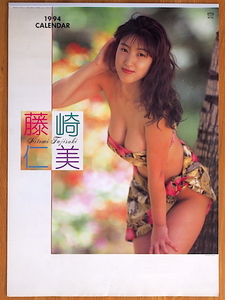 1994 year Fujisaki Hitomi calendar unused storage goods 