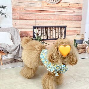 新品同様 美品 ドッグウェア ペットウェア 犬服 犬の服 襟付きフラワートップス 春 夏 花柄イエロー フラワー M