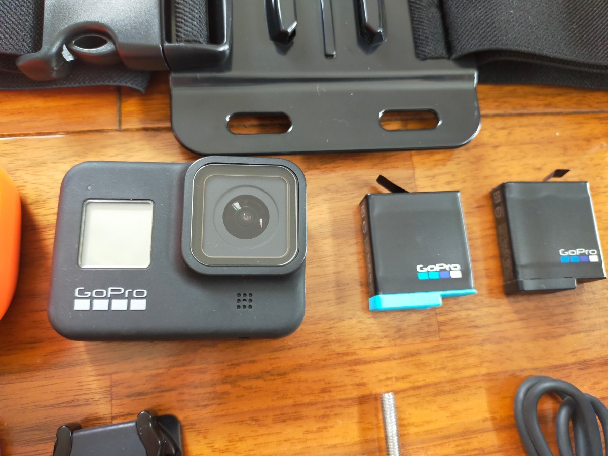GoPro HERO8 Black バッテリー×2/デュアル充電器/フローティングケース