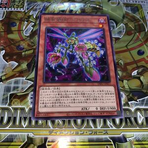 遊戯王　 DIFO-JP017　レア　捕食植物ビブリスプ　 DIMENSION FORCE