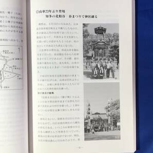 レCG1089サ●「大野谷風土記」 平成11年 愛知県/祭礼/山車/神社/寺院/伝説/郷土/資料の画像4