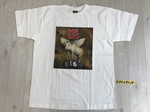 2023年最新】ヤフオク! -mr.big tシャツの中古品・新品・未使用品一覧
