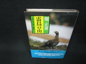 雷鳥の山　畑正憲/ADK