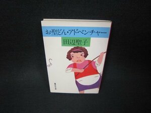 お聖どん・アドベンチャー　田辺聖子　集英社文庫　日焼け強/ADZA