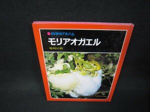科学のアルバム　モリアオガエル　箱無シミ多/BAC