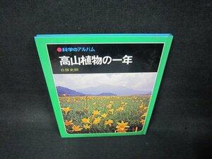 科学のアルバム　髙山植物の一年　箱無シミ多/BAC