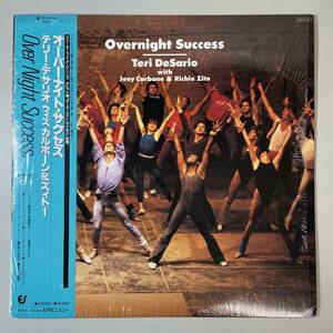 29040★美盤【日本盤】 Teri DeSario With Joey Carbone & Richie Zito / Overnight Success ※シュリンク帯付き