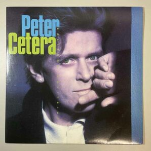 30510★美盤【日本盤】 Peter Cetera / Solitude / Solitaireの画像1