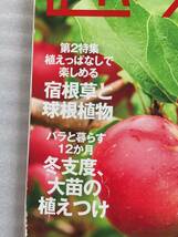 趣味の園芸　注目の果樹大集合　りんご　かんきつ　ぶどう　キウイ　コチョウラン　バラ　2018年　11月_画像2