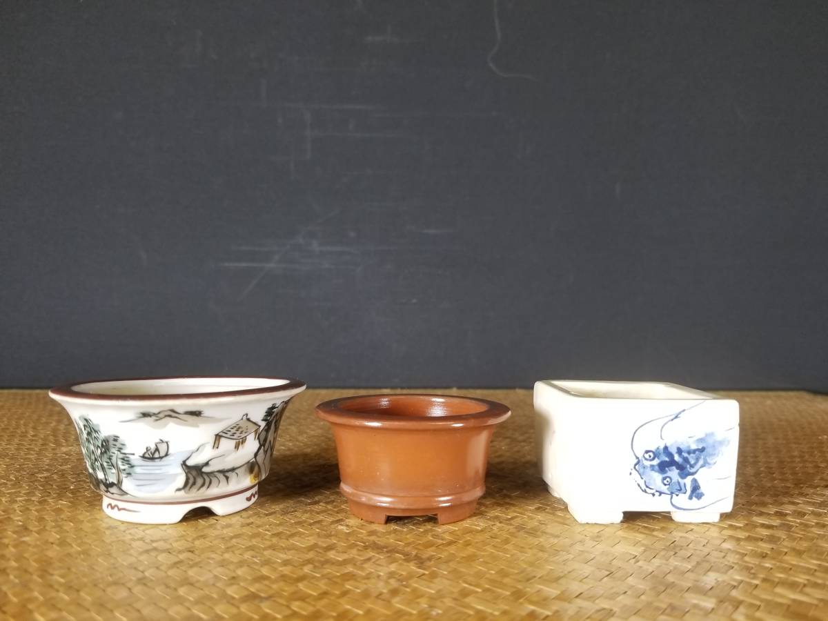ヤフオク! -「九谷」(鉢) (盆栽用具)の落札相場・落札価格