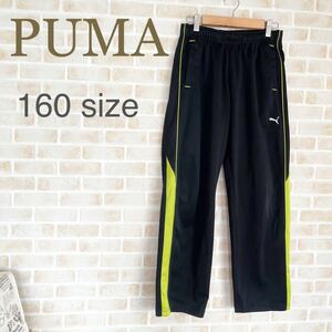 PUMA 160size джерси брюки черный × светло-зеленый 