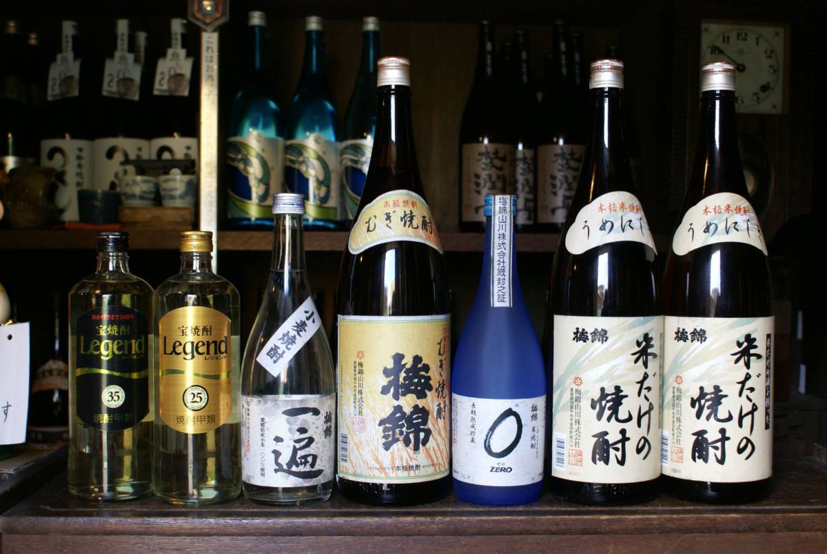2023年最新】ヤフオク! -宝 焼酎の中古品・新品・未使用品一覧