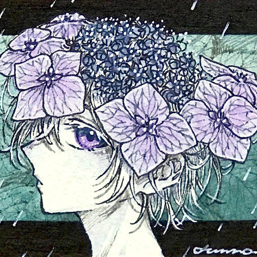 2023年最新】ヤフオク! -あじさい イラストの中古品・新品・未使用品一覧