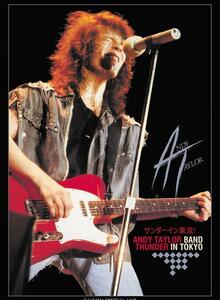 DVD Andy Taylor アンディ・テイラー サンダー ライヴ イン 東京 Thunder In Tokyo ファンクラブ