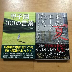 【D】甲子園2冊セット　甲子園100の言葉　＆　あの夏のエースたち　甲子園ファイナリストの光と影　／　高校野球　ベースボール　青春