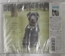 未開封　新古品moumoon/EVERGREEN ［CD+DVD］_画像2