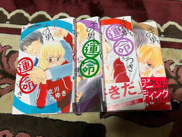 「その男、運命につき」 1巻、4〜6巻 セット北川みゆき