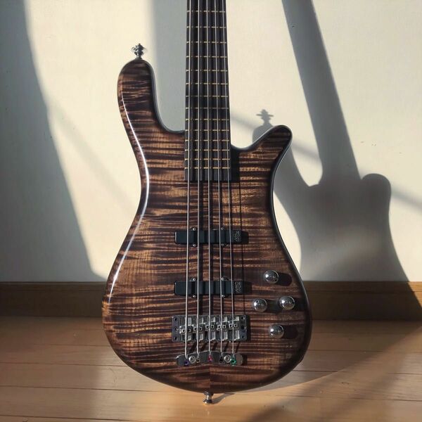 Warwick Streamer LX5 