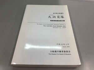 ▼　【大洞貝塚　範囲確認調査報告書　大船渡市教育委員会　平成12年3月】161-02307