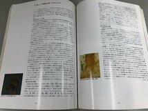 ▼　【図録 装飾古墳の世界 朝日新聞社　1993年-1994年　/歴史/文化/古墳/装飾/埴輪/はにわ/銅鏡】161-02307_画像6